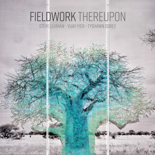 cover fieldwork thereupon   1